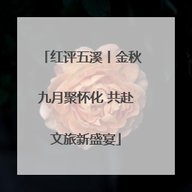 红评五溪丨金秋九月聚怀化 共赴文旅新盛宴