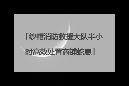 纱帽消防救援大队半小时高效处置商铺蛇患