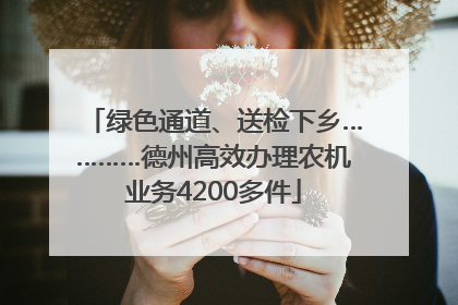 绿色通道、送检下乡…………德州高效办理农机业务4200多件