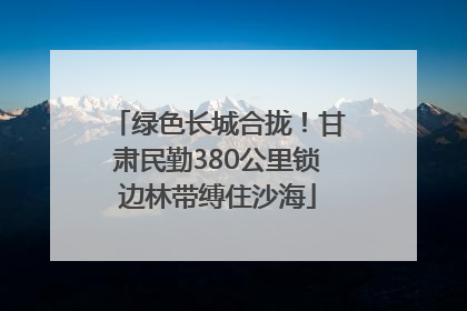 绿色长城合拢！甘肃民勤380公里锁边林带缚住沙海