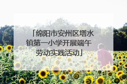 绵阳市安州区塔水镇第一小学开展端午劳动实践活动