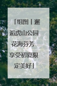组图丨邂逅虎山公园花海芬芳 享受初夏限定美好