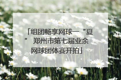 组团畅享网球一“夏” 郑州市第七届业余网球团体赛开拍