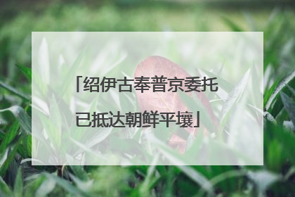 绍伊古奉普京委托已抵达朝鲜平壤
