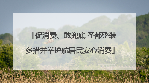 促消费、敢兜底 圣都整装多措并举护航居民安心消费