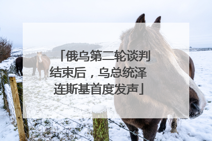 俄乌第二轮谈判结束后，乌总统泽连斯基首度发声