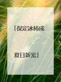 保定冰柿成夏日新宠
