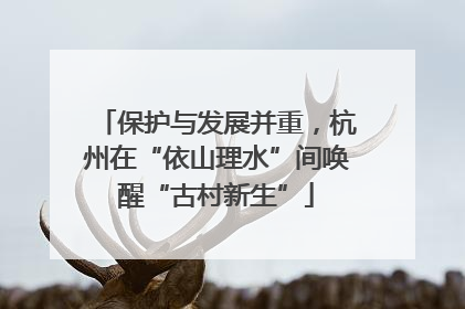 保护与发展并重，杭州在“依山理水”间唤醒“古村新生”