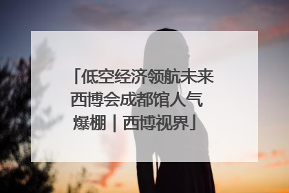 低空经济领航未来 西博会成都馆人气爆棚｜西博视界