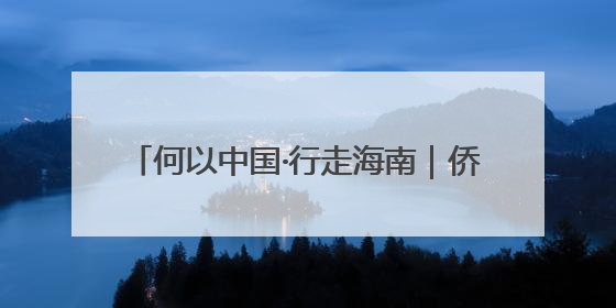 何以中国·行走海南｜侨校飘茶香 职教新发展