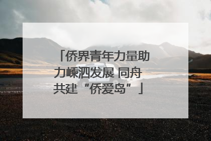 侨界青年力量助力嵊泗发展 同舟共建“侨爱岛”