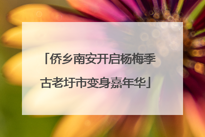 侨乡南安开启杨梅季 古老圩市变身嘉年华