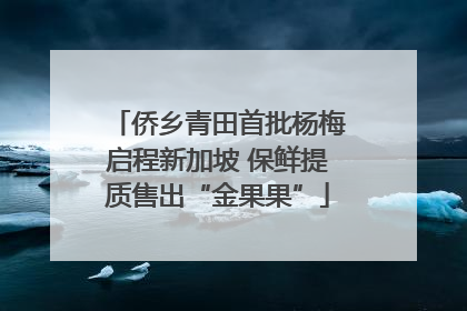 侨乡青田首批杨梅启程新加坡 保鲜提质售出“金果果”