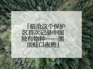 临沧这个保护区首次记录中国独有物种——黑顶蛙口夜鹰