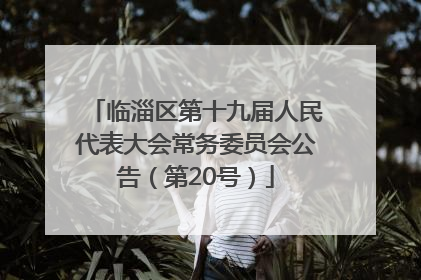 临淄区第十九届人民代表大会常务委员会公告（第20号）