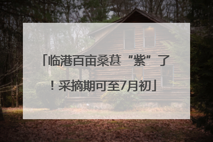 临港百亩桑葚“紫”了！采摘期可至7月初