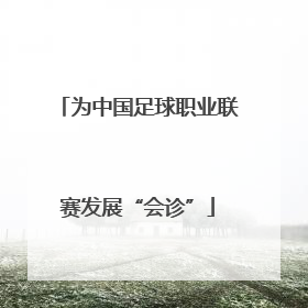 为中国足球职业联赛发展“会诊”