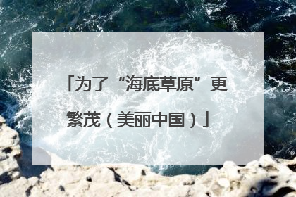 为了“海底草原”更繁茂（美丽中国）