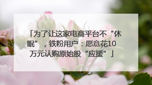 为了让这家电商平台不“休眠”，铁粉用户：愿意花10万元认购原始股“应援”