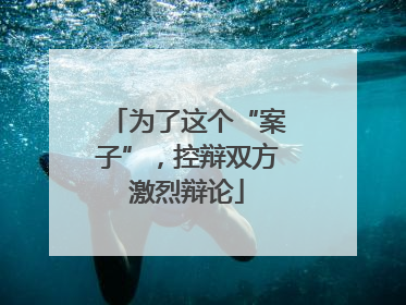 为了这个“案子”，控辩双方激烈辩论
