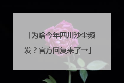 为啥今年四川沙尘频发？官方回复来了→