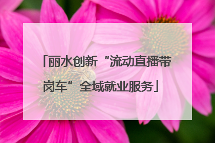 丽水创新“流动直播带岗车”全域就业服务