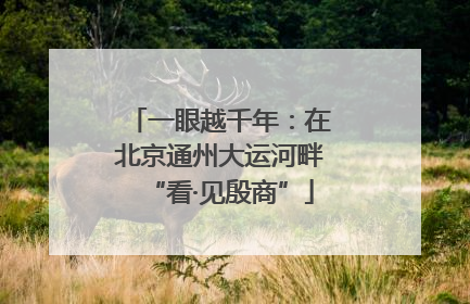 一眼越千年：在北京通州大运河畔“看·见殷商”