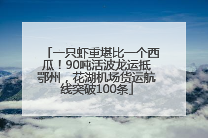 一只虾重堪比一个西瓜！90吨活波龙运抵鄂州，花湖机场货运航线突破100条