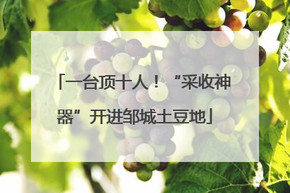 一台顶十人！“采收神器”开进邹城土豆地
