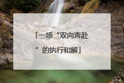 一场“双向奔赴”的执行和解