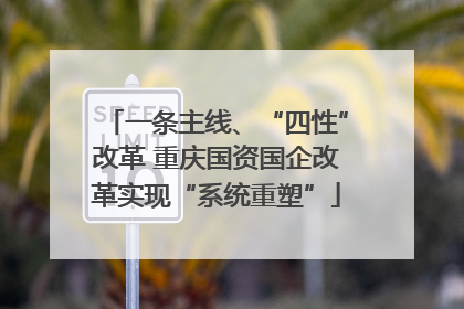 一条主线、“四性”改革 重庆国资国企改革实现“系统重塑”