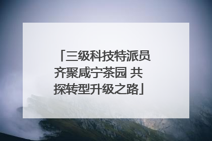 三级科技特派员齐聚咸宁茶园 共探转型升级之路