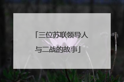 三位苏联领导人与二战的故事