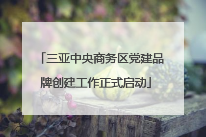 三亚中央商务区党建品牌创建工作正式启动