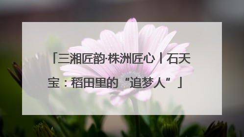 三湘匠韵·株洲匠心丨石天宝：稻田里的“追梦人”