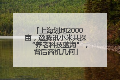 上海划地2000亩，邀腾讯小米共探“养老科技蓝海”，背后商机几何
