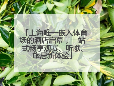 上海唯一嵌入体育场的酒店启幕，一站式畅享观赛、听歌、旅居新体验
