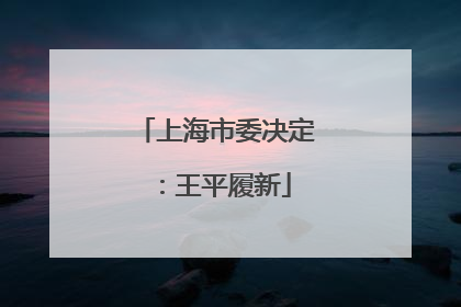 上海市委决定：王平履新