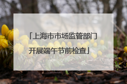 上海市市场监管部门开展端午节前检查