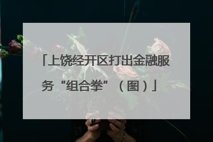 上饶经开区打出金融服务“组合拳”（图）