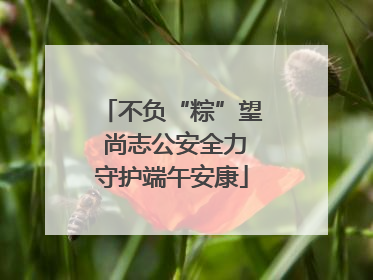 不负“粽”望 尚志公安全力守护端午安康