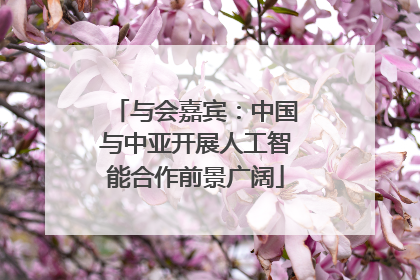 与会嘉宾：中国与中亚开展人工智能合作前景广阔