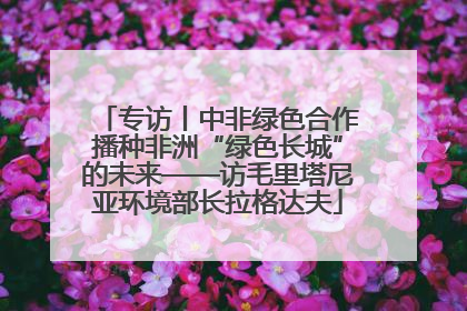 专访丨中非绿色合作播种非洲“绿色长城”的未来——访毛里塔尼亚环境部长拉格达夫