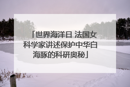 世界海洋日 法国女科学家讲述保护中华白海豚的科研奥秘