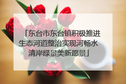 东台市东台镇积极推进生态河道整治实现河畅水清岸绿景美新愿景