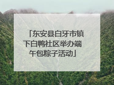 东安县白牙市镇下白鸭社区举办端午包粽子活动
