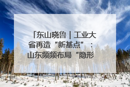 东山晓鲁｜工业大省再造“新基点”：山东频频布局“隐形冠军”背后