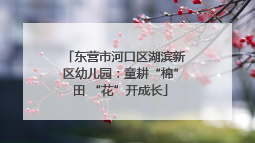 东营市河口区湖滨新区幼儿园：童耕“棉”田 “花”开成长