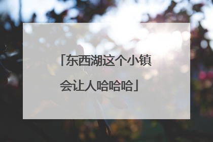 东西湖这个小镇会让人哈哈哈