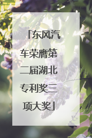 东风汽车荣膺第二届湖北专利奖三项大奖